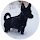 spencer morse avatar