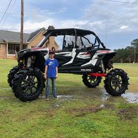 Dusty Phillips's profile image