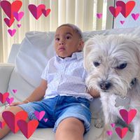 Yaneisy Cruz's profile image