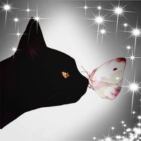 Tammy Salzbrunn-Boulware's profile image