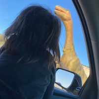 Carolina A Cano's profile image