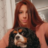 Nicole Kim's profile image
