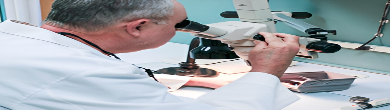 Small Dental's cover image