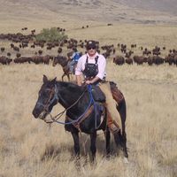 Alicia S. Hone's profile image