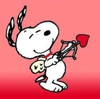 Tina Hutchins's profile image