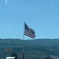 Lizzy Bee's profile image