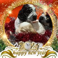 Tina Crocker's profile image