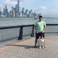 Adrian Reyes's profile image