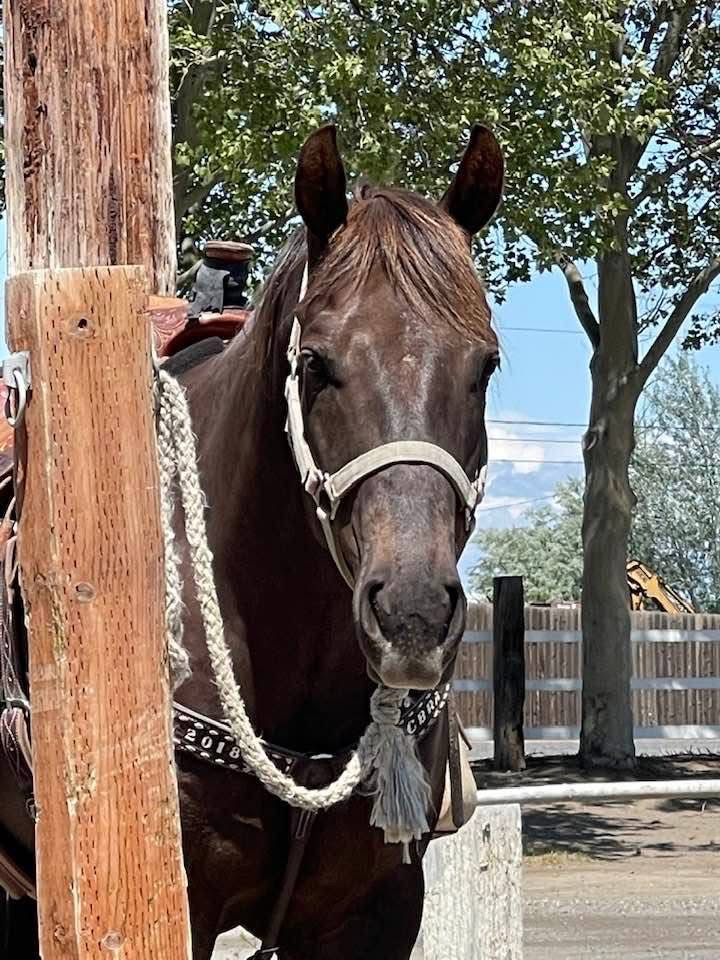 Adrienne A.'s post 2