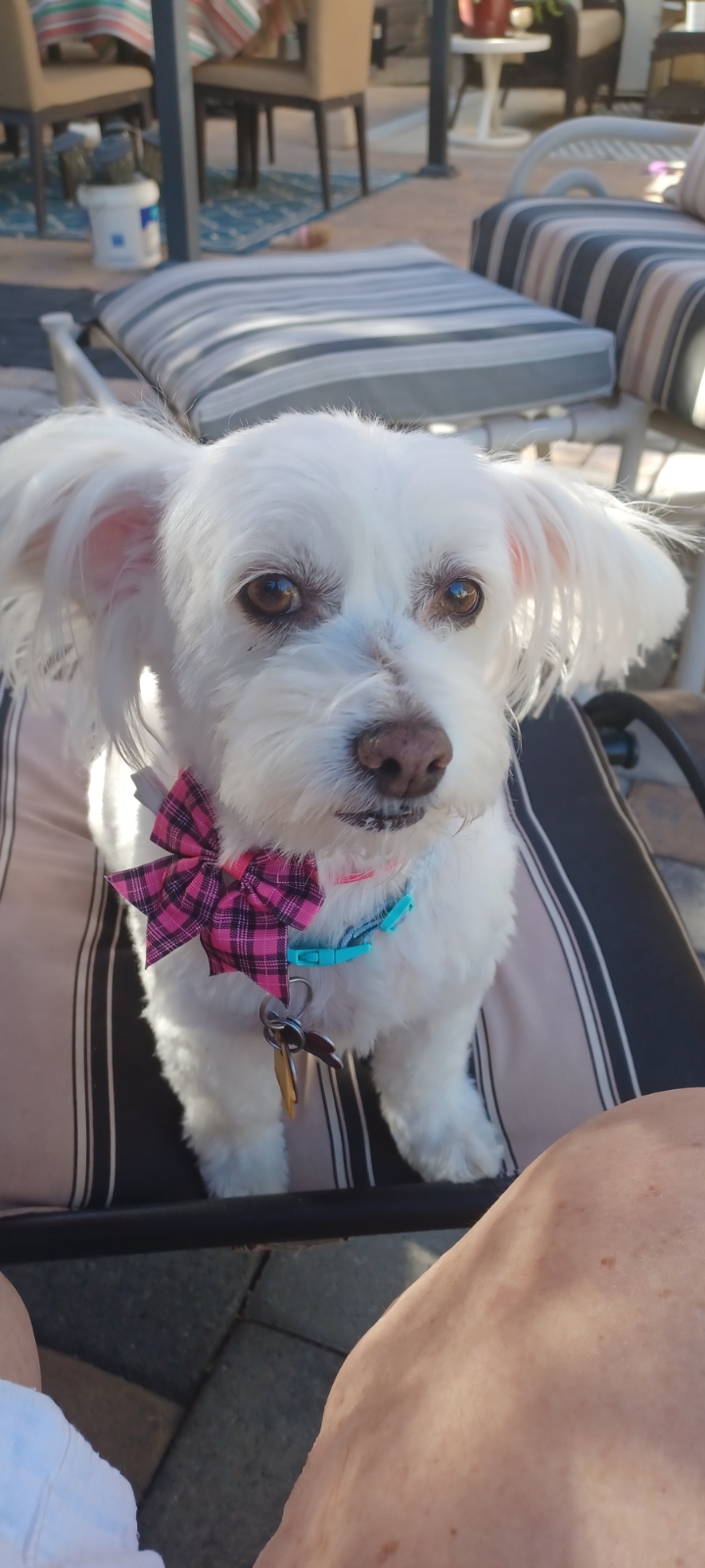 Joan R.'s post 2