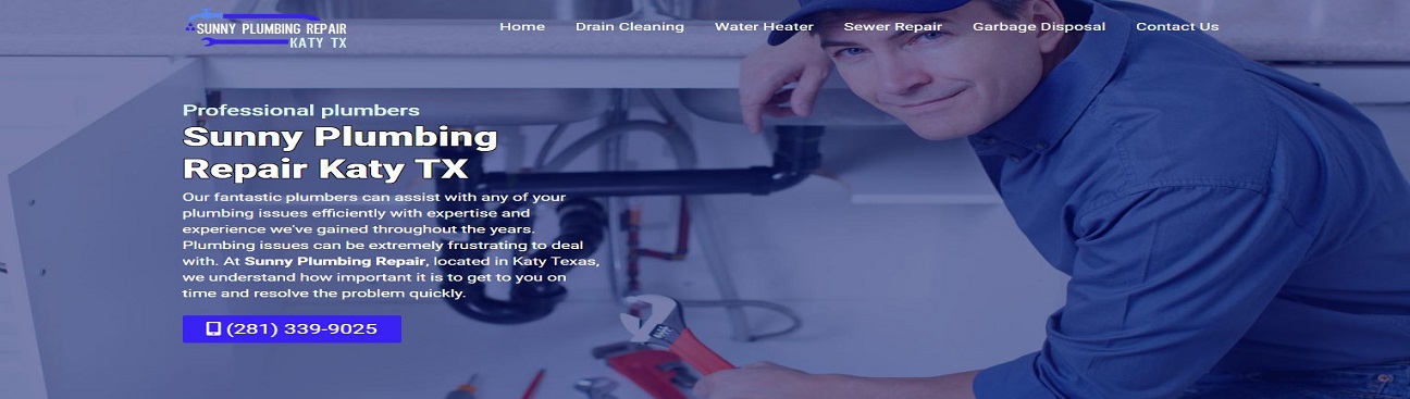 Sunny Plumbing Repair's cover image