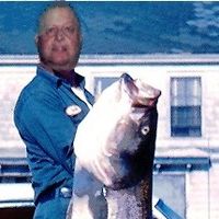 William Whitehouse's profile image