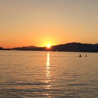 Amanda Lorello's profile image