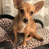 Eric Mena's profile image