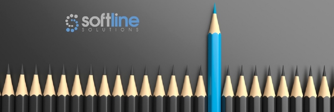 Softline Solutions Digital Marketing & PPC Management's cover image
