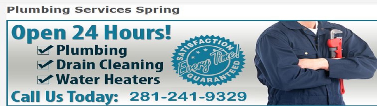 Brave Plumbing's cover image
