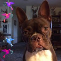 Shirley N George Jolly's profile image