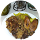 Robio O avatar