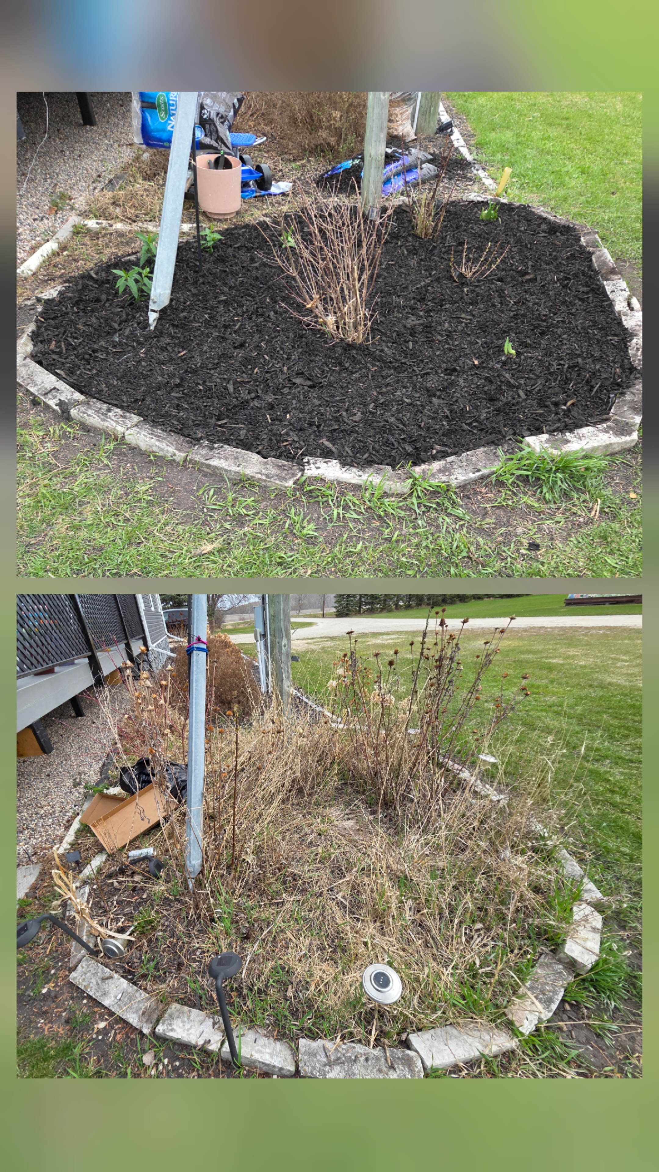 Ilene Pearson R.'s post 1