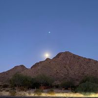 Deborah Potter's profile image