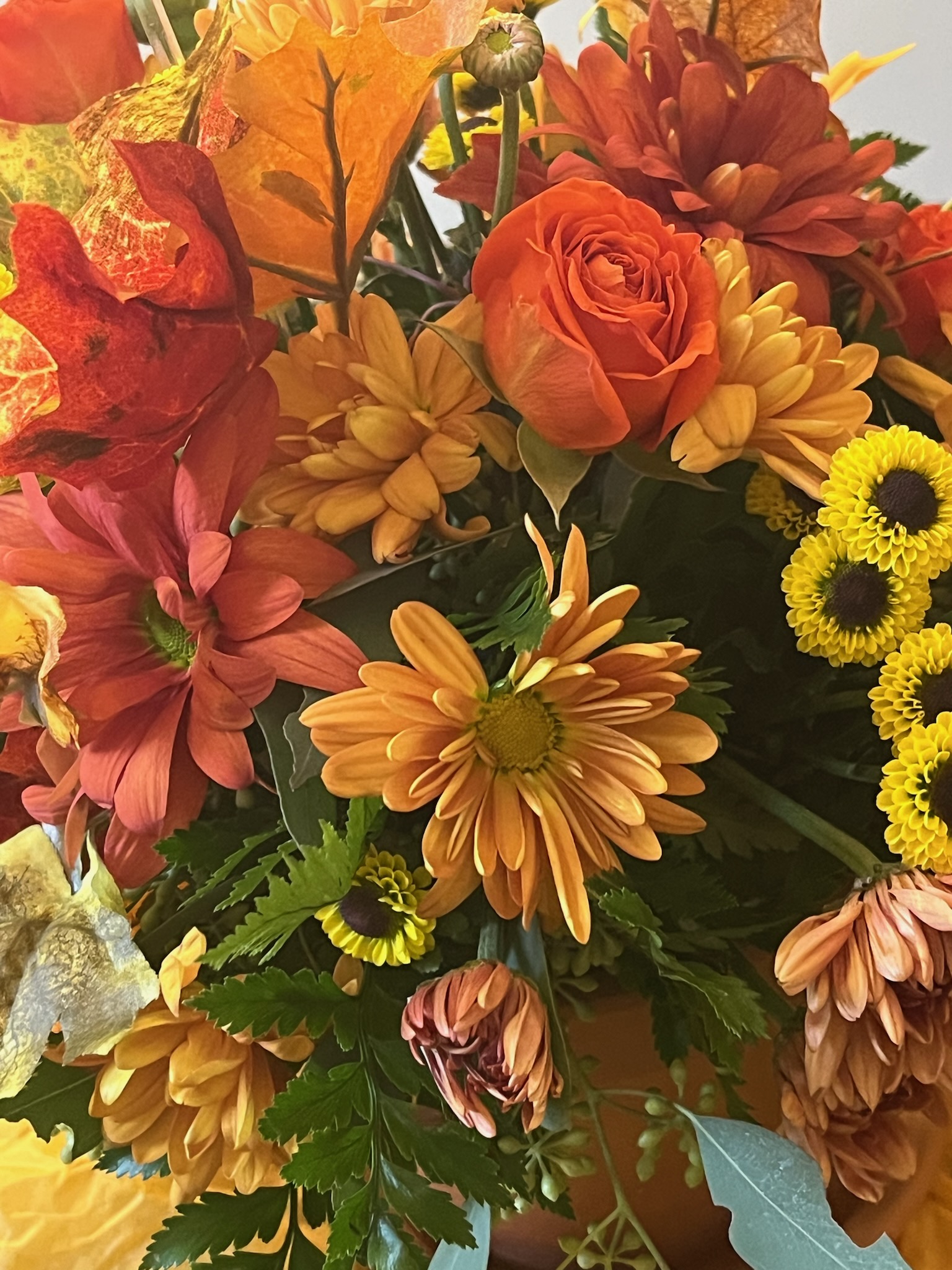 SusanBeth O.'s post 1