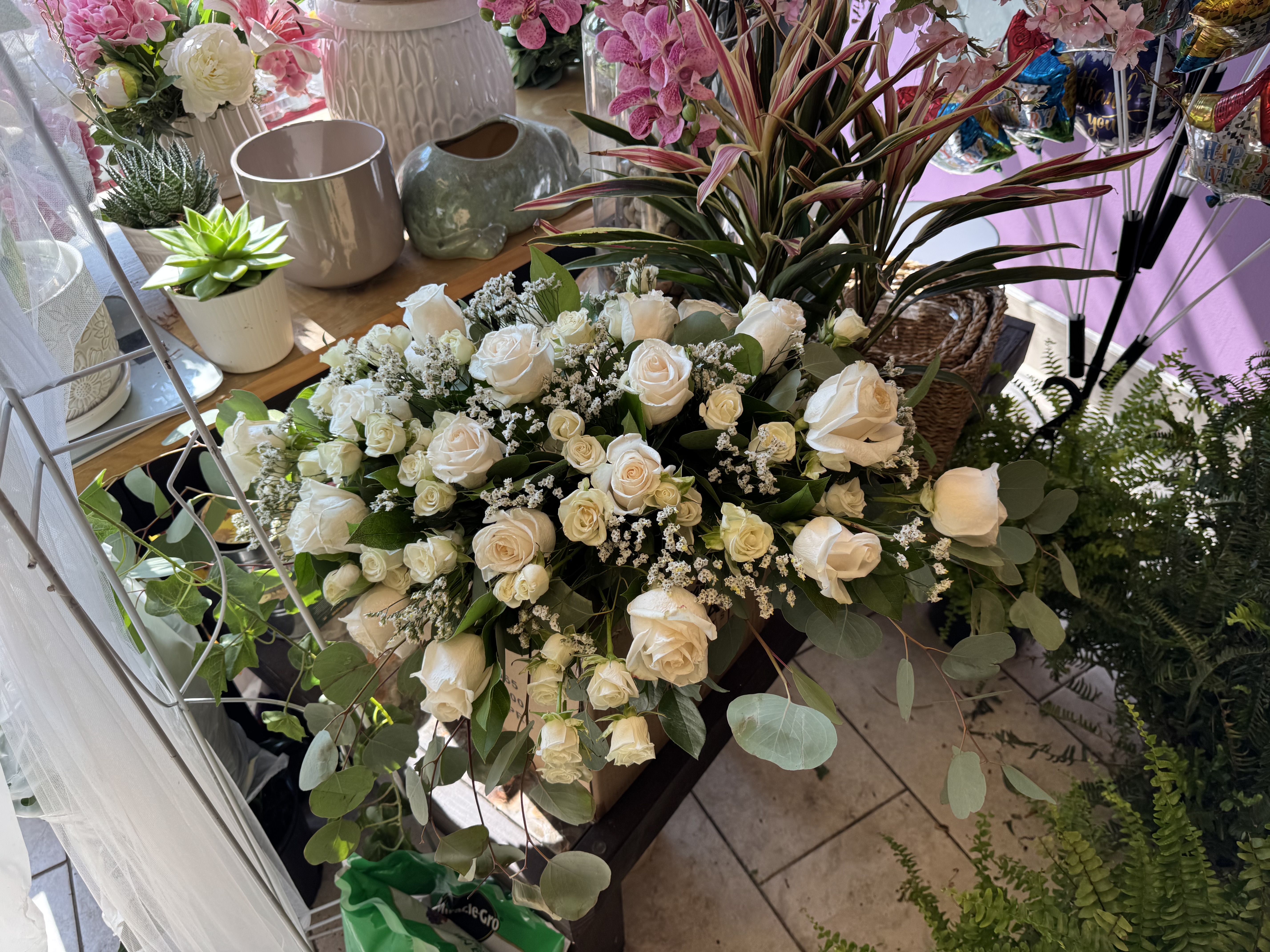 Flower B.'s post 4