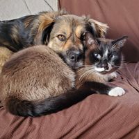 Angie Hensley's profile image