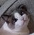 Jacky Seabrook's profile image