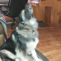 Ed Olsen's profile image