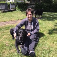 Gina Lincoln's profile image