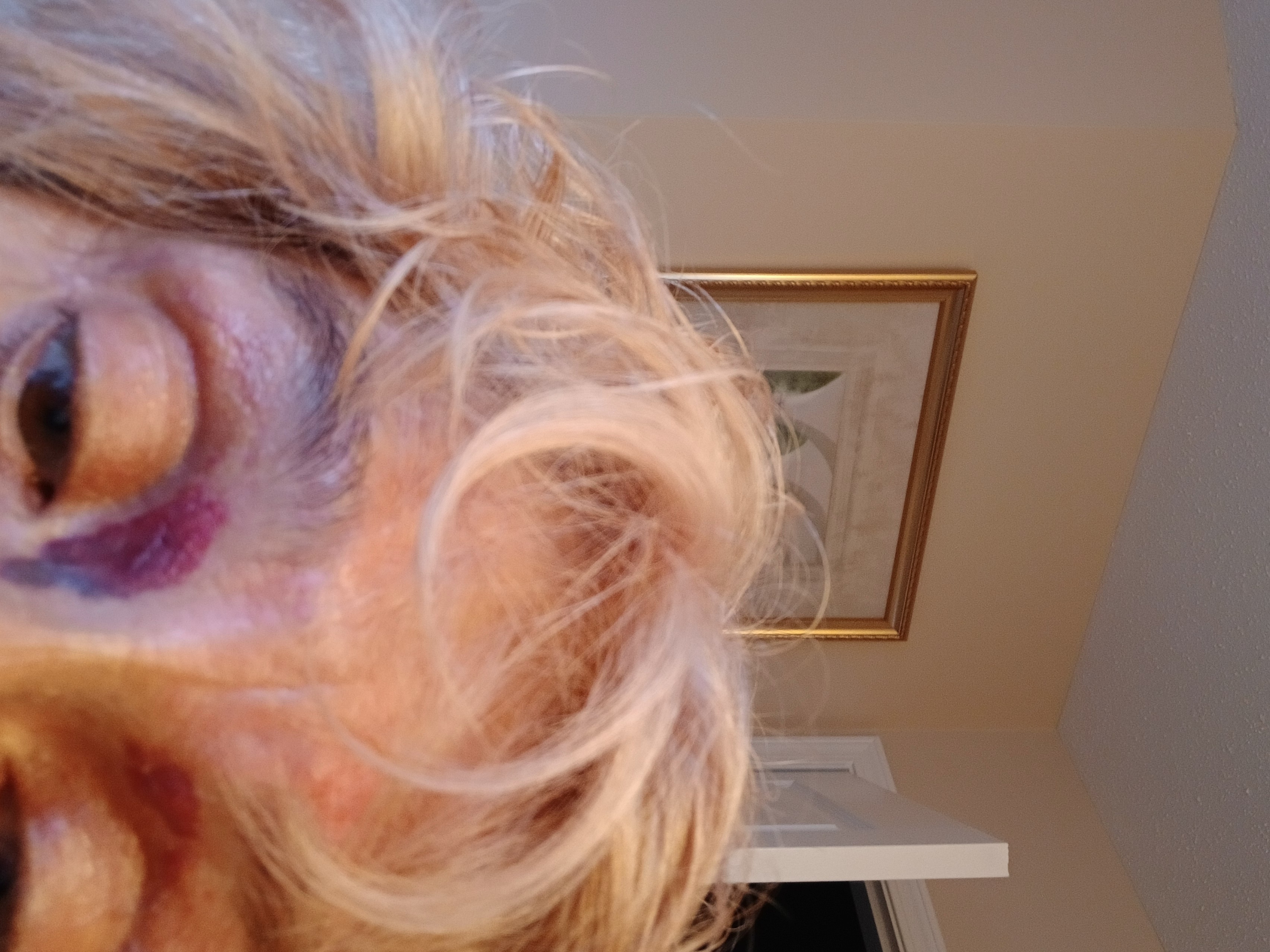 Sandy D.'s post 1