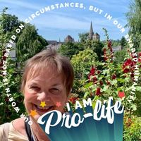 Sue Madden's profile image