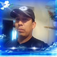 Robert Flores's profile image