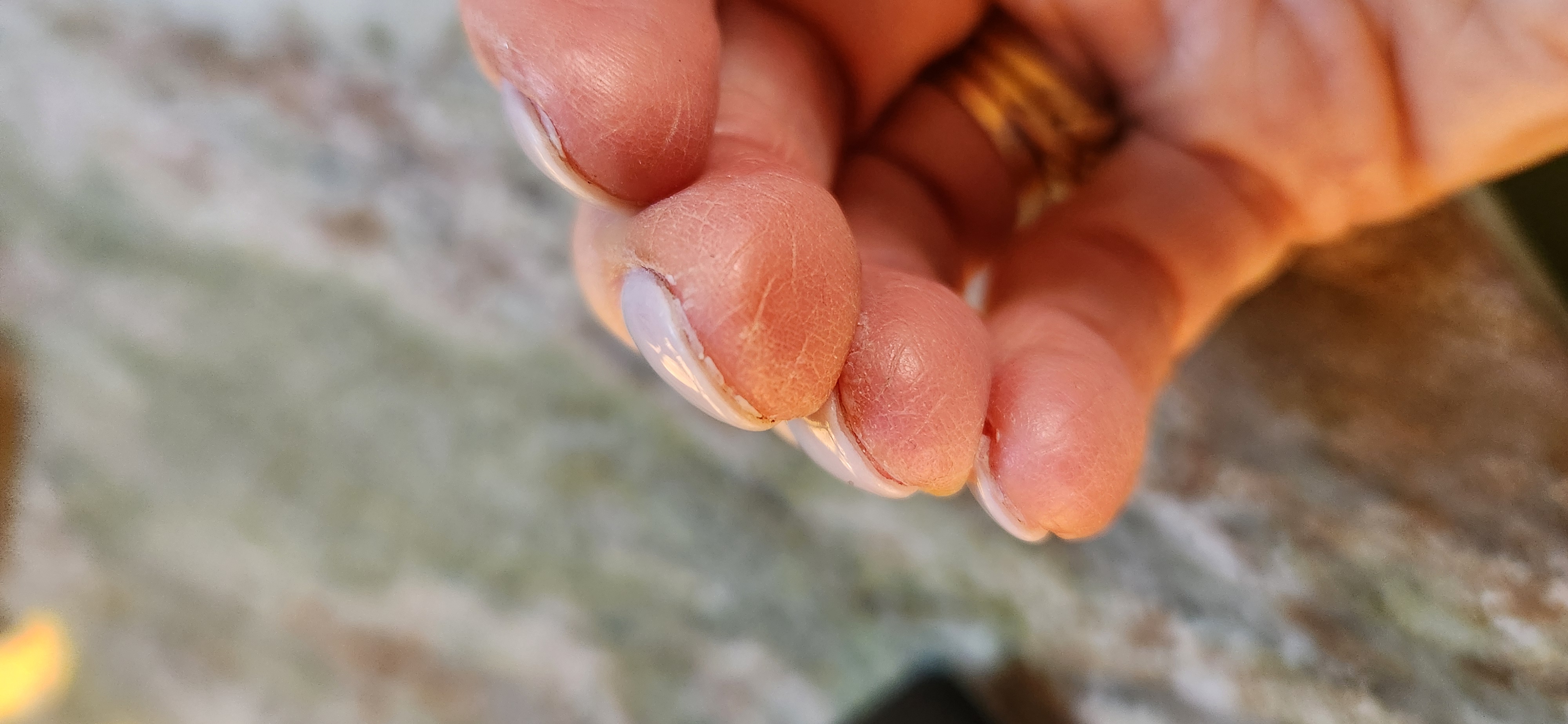 Margaret K.'s post 1