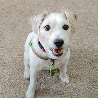 Louise Timm's profile image