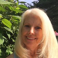 Lynda Feigenbaum's profile image