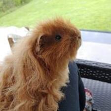 Tasha's profile image