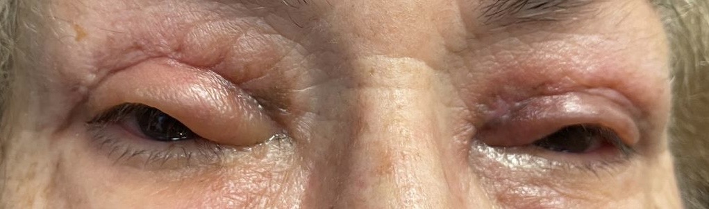 Elizabeth R.'s post 2