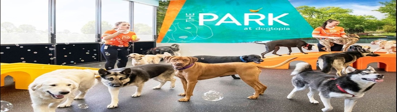 Dogtopia of Garden Home's cover image