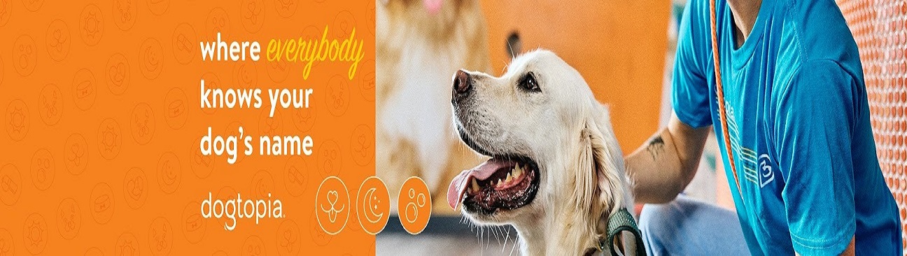 Dogtopia of the Shire at Cityline's cover image