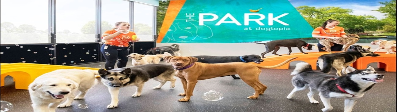 Dogtopia of Milwaukee East Side's cover image