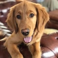Tammy Brenkus Garewski's profile image