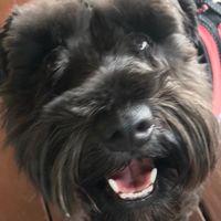 Jeff Tetrick's profile image