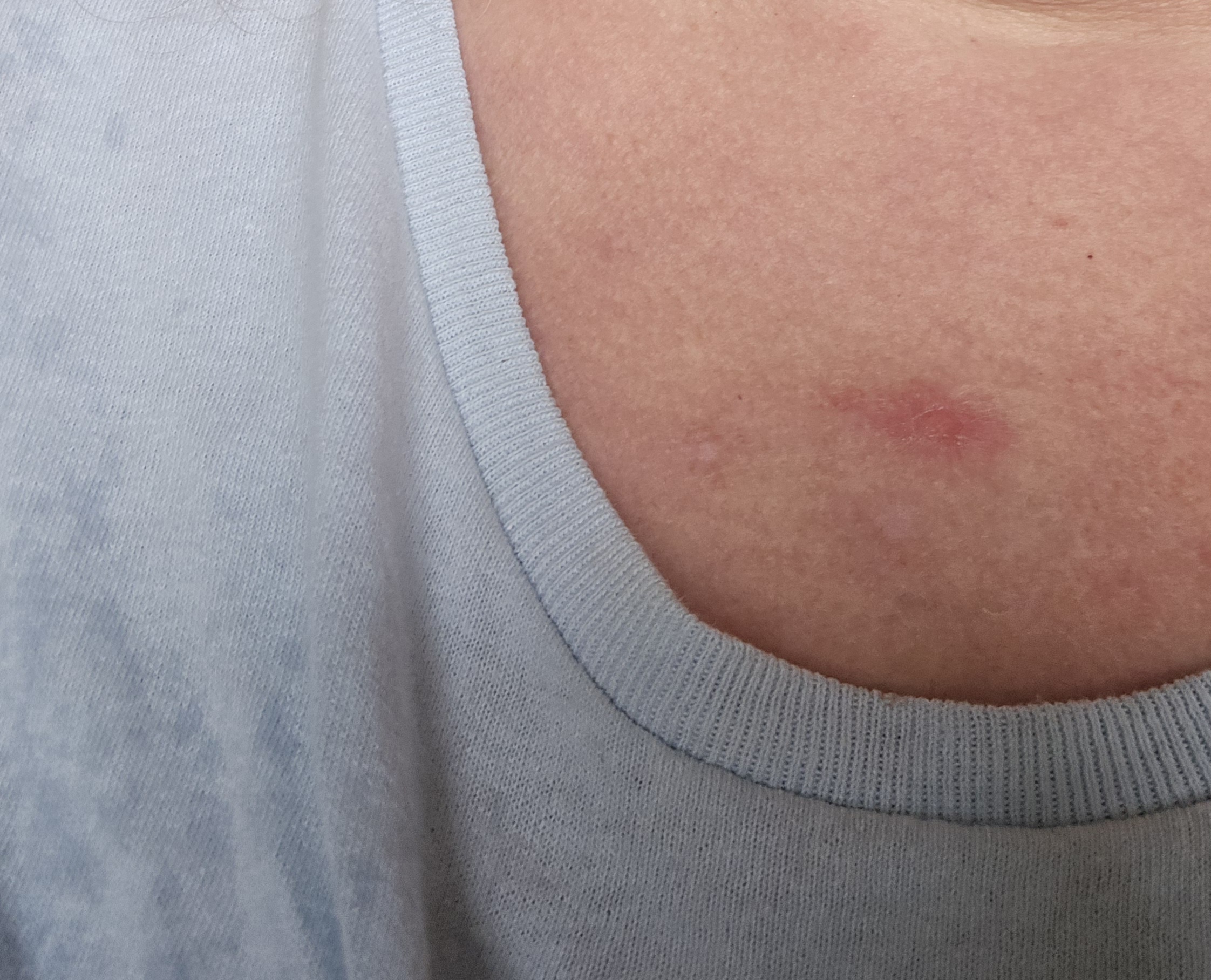 Stacey Cramer L.'s post 1