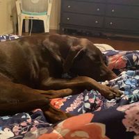 Erica Wardlaw's profile image