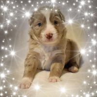 Nancy Smith Jude's profile image