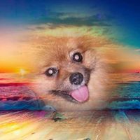 Linda Kelley Gessells's profile image