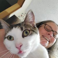 Kyle Halstead's profile image