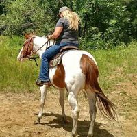 Aileen Martin's profile image