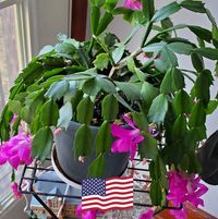 Charlotte McCrory's profile image